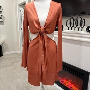 Forever 21 Rust Mini Dress